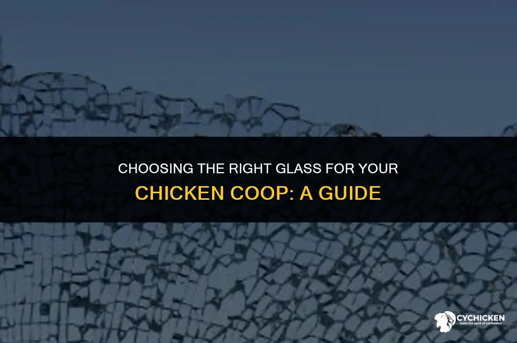 what type glass for chicken coop