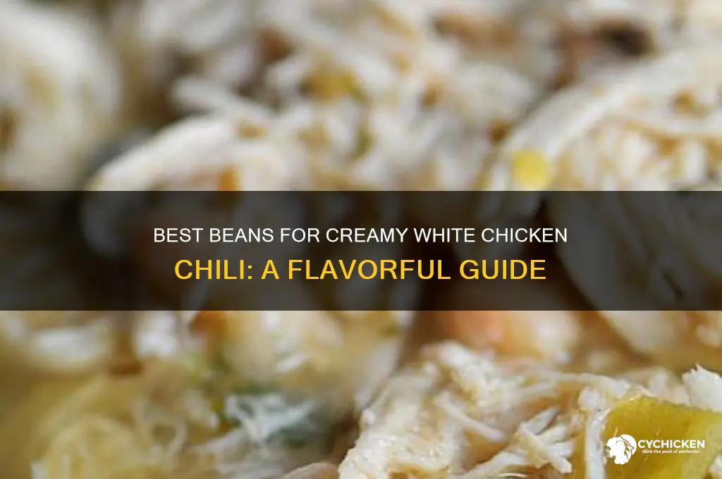 what type of beans for white chicken chili