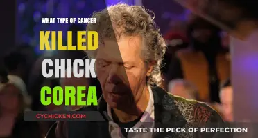 Chick Corea's Tragic Death: Understanding the Rare Cancer That Took His Life