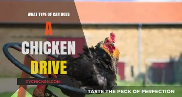 Clucking Wheels: Unveiling the Chicken's Unexpected Car Choice