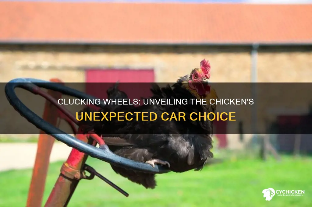 what type of car does a chicken drive