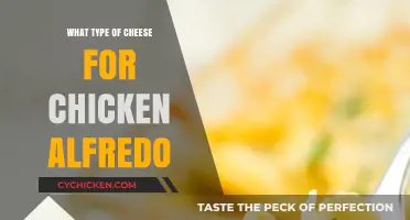 Perfect Cheese Pairings for Creamy Chicken Alfredo Recipes