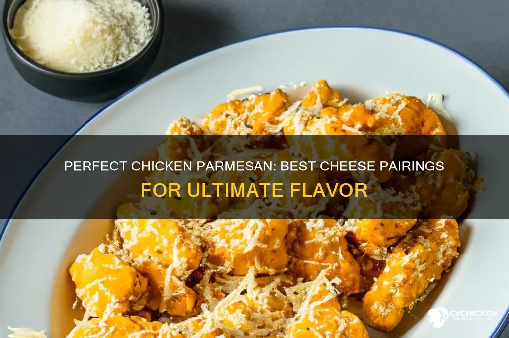 what type of cheese goes on chicken parmesan