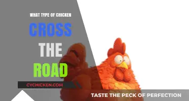 Why Did the Chicken Cross the Road? Unraveling the Poultry Mystery