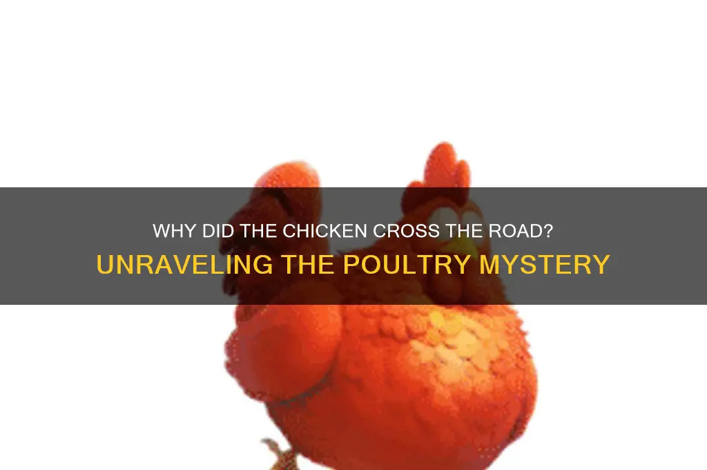 what type of chicken cross the road