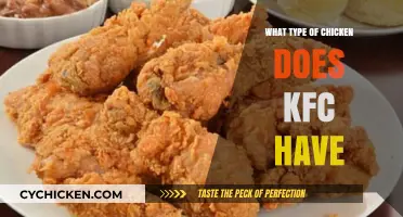 Unveiling KFC's Secret: What Type of Chicken Does KFC Use?