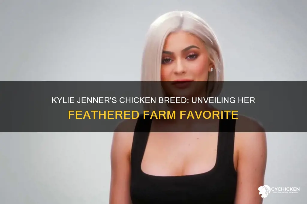 what type of chicken does kylie jenner have
