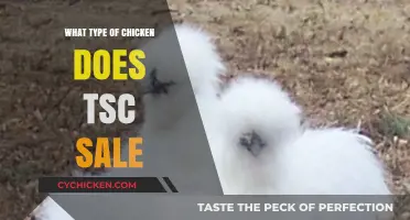 Exploring the Varieties of Chickens Available at TSC