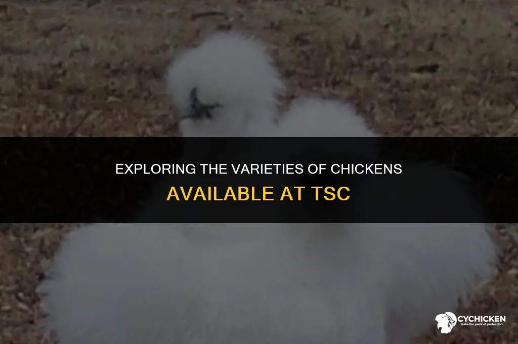 what type of chicken does tsc sale