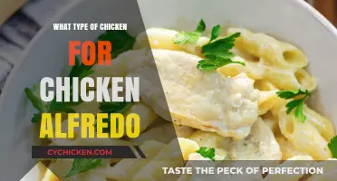 Best Chicken Types for Creamy Chicken Alfredo Recipes
