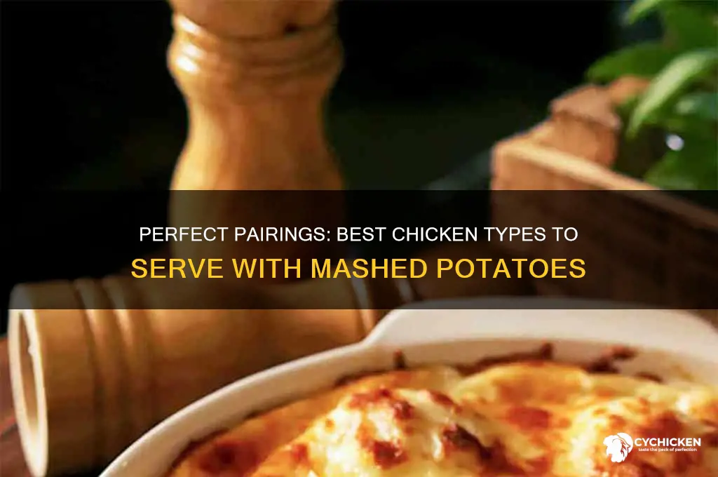 what type of chicken goes with mashed potatoes