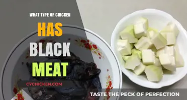 Discovering the Unique Black-Meated Chicken Breeds: A Culinary Exploration