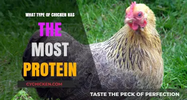 High-Protein Chicken Breeds: Which Variety Offers the Most Muscle Fuel?