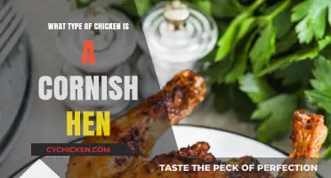 Discover the Unique Characteristics of a Cornish Hen Chicken