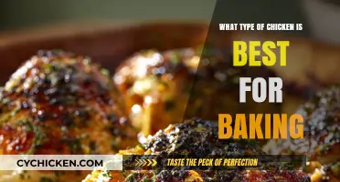 Best Chicken Breeds for Baking: Juicy, Tender, and Flavorful Results