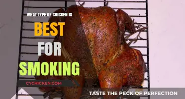 Best Chicken Breeds for Smoking: Juicy, Flavorful, and Tender Results
