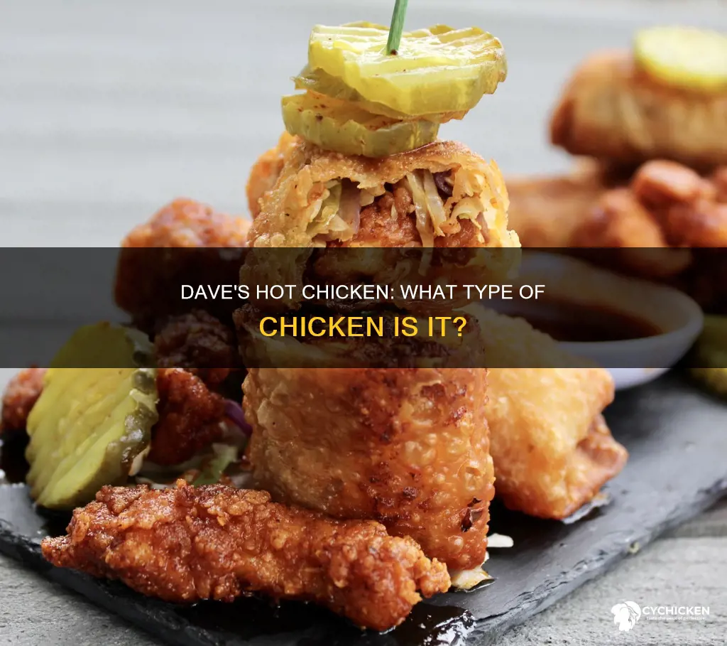 what type of chicken is dave