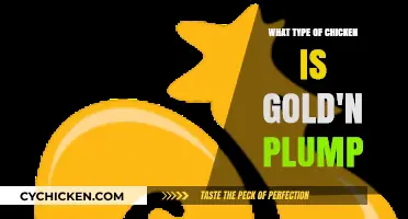 Discovering the Breed Behind Gold'n Plump Chicken: A Tasty Exploration