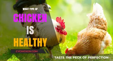 Discover the Healthiest Chicken Breeds for Your Diet