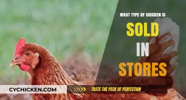Understanding the Common Chicken Breeds Available in Grocery Stores