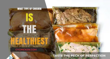 Discover the Healthiest Chicken Varieties for Nutritious and Delicious Meals
