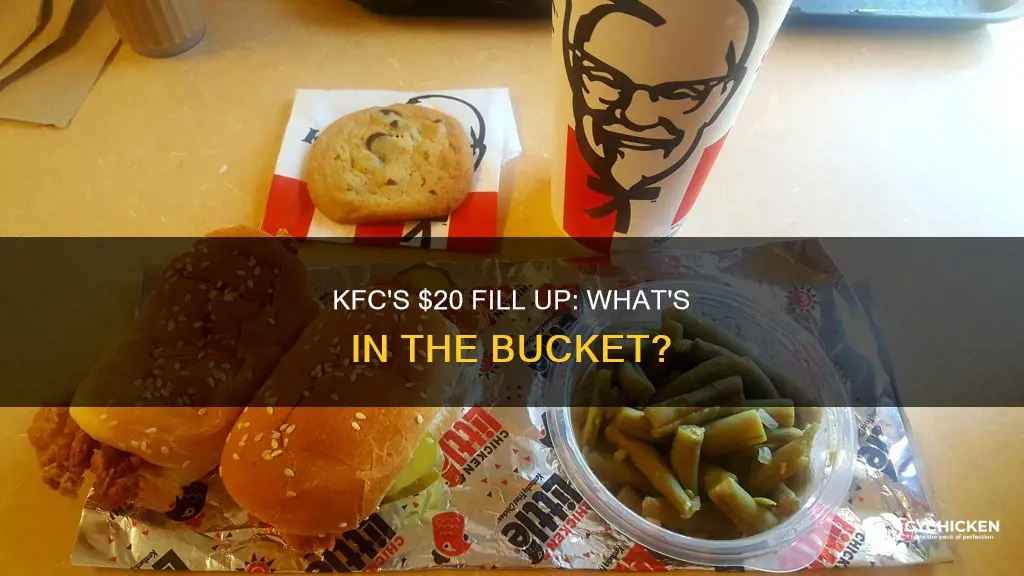 what type of chicken kfc 20 dollar fill up