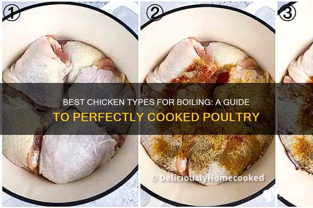 what type of chicken should you boil
