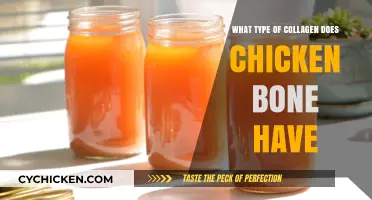 Chicken Bone Collagen: Types, Benefits, and Nutritional Value Explained