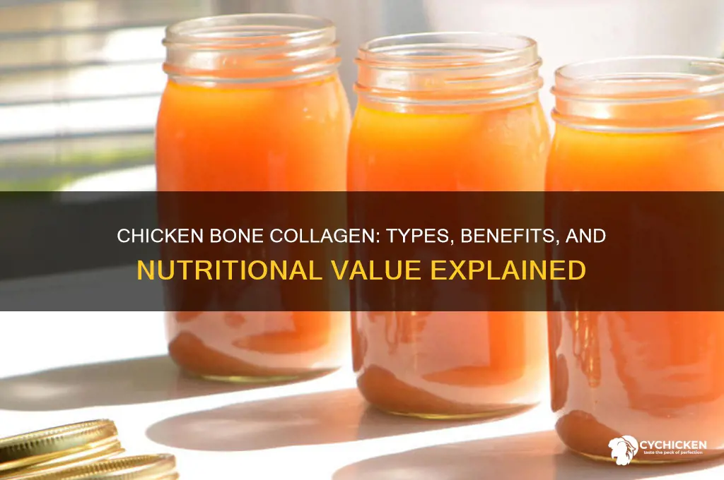 what type of collagen does chicken bone have