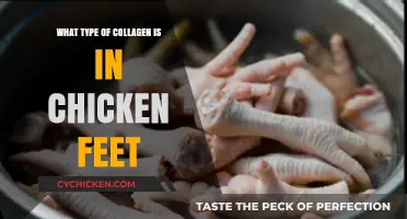 Unveiling the Collagen Types in Chicken Feet: A Nutritional Guide