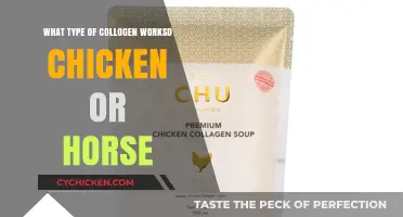 Chicken vs. Horse Collagen: Which Type Works Best for You?