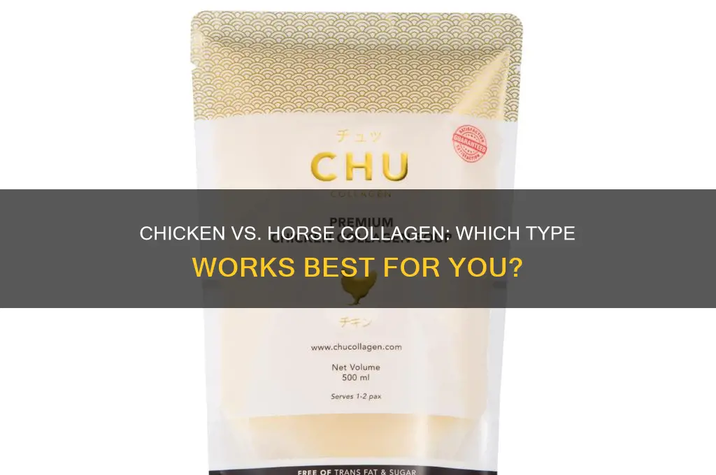 what type of collogen worksd chicken or horse