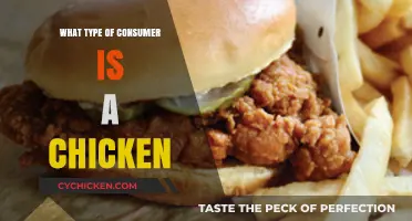 Understanding Chickens: Their Consumer Behavior and Dietary Habits Explained