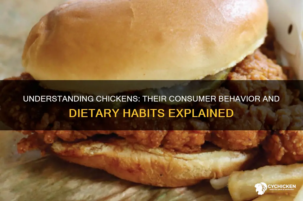 what type of consumer is a chicken