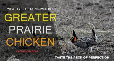 Prairie Chickens: Fussy Consumers or Adaptable Survivors?