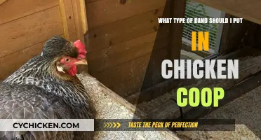 Choosing the Perfect Bedding for Your Chicken Coop: A Comprehensive Guide