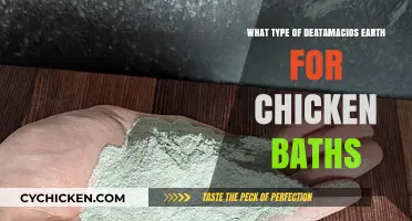 Best Dust Bath Materials for Happy, Healthy Chickens: A Guide