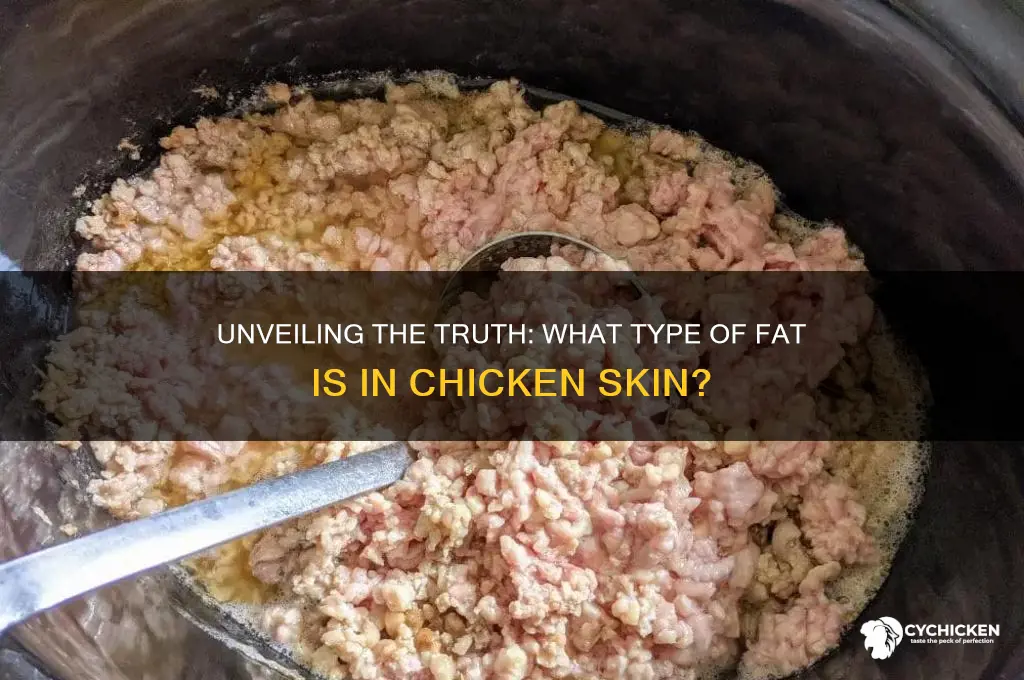 what type of fat is in chicken skin