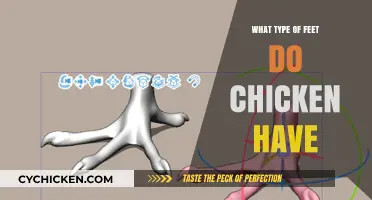 Exploring Chicken Feet: Unique Structure and Function Explained