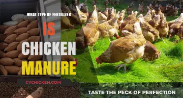 Chicken Manure as Fertilizer: Benefits, Application, and Best Practices