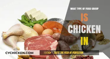 Is Chicken a Protein or Meat? Understanding Its Food Group
