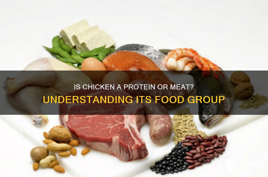 what type of food group is chicken in