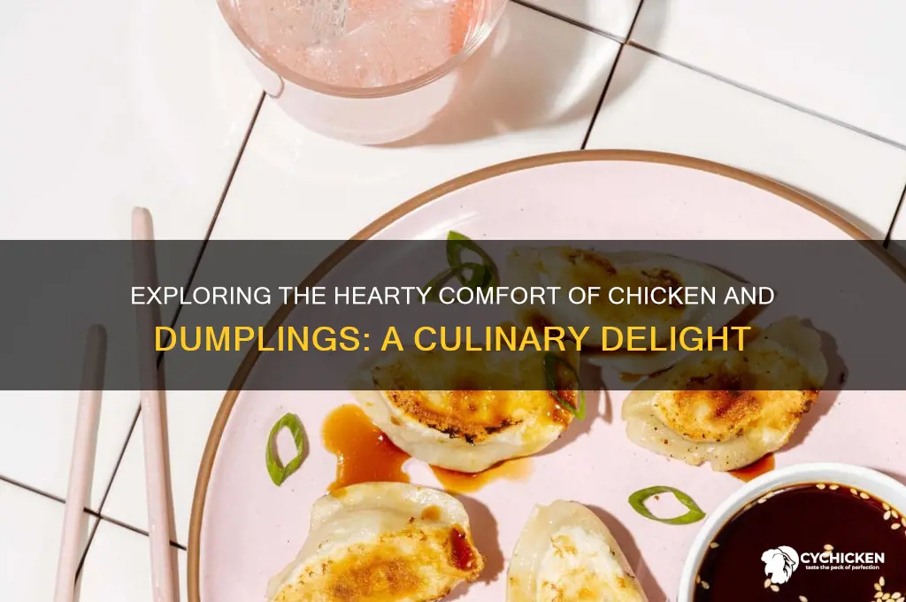 what type of food is chicken and dumplings