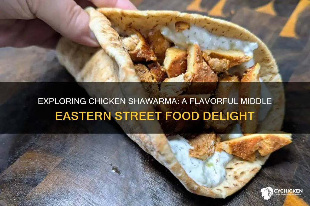 what type of food is chicken shawarma