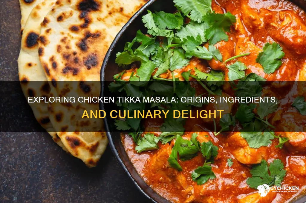 what type of food is chicken tikka masala