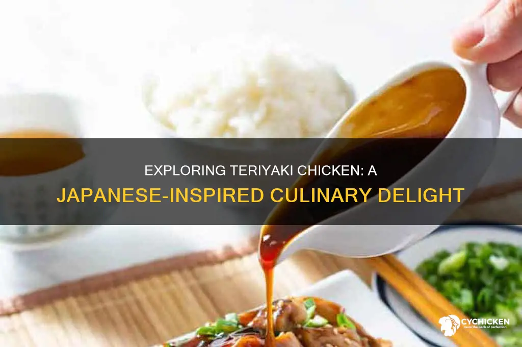 what type of food is teriyaki chicken considered
