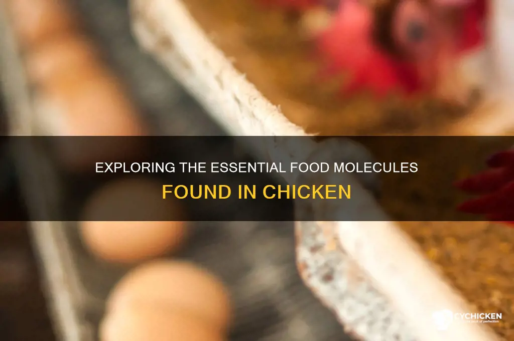 what type of food molecules are in chicken