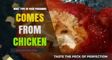 Chicken-Related Food Poisoning: Identifying Common Culprits and Symptoms