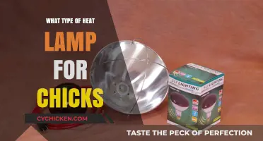 Choosing the Right Heat Lamp for Your Baby Chicks: A Guide