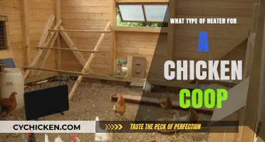 Choosing the Perfect Heater for Your Chicken Coop: A Comprehensive Guide